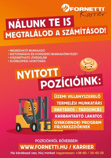 Ha az állásportálok napi hírleveleit már korábban beállítottad, és a legnagyobb állásportálokon, LinkedInen, Facebookon a profilodat álláskeresést támogatóvá tetted.