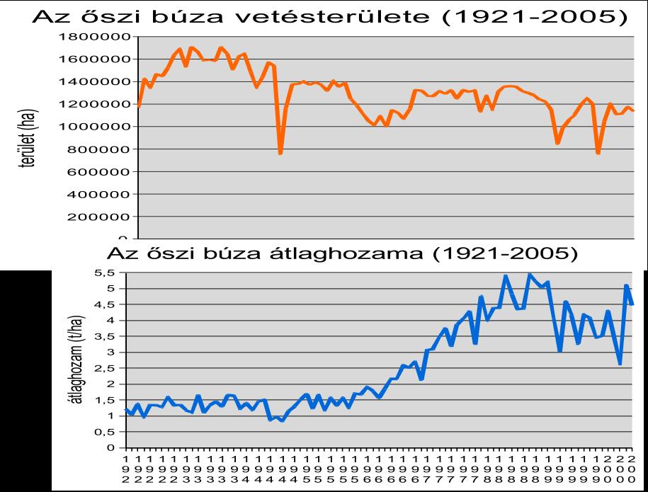 Az őszi búza