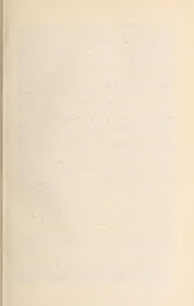; : 33 völgye. Substr. gránit. 1300 m. t. sz. f. m. ster.; 1908. VII. 8. (Gyrffy). 34. Ptilidium pulcherrimum (Web.) Hampe Magas-Tatra Barlangliget környékén. 700 m. t. sz. f. m. ; 1907. VII. 11.
