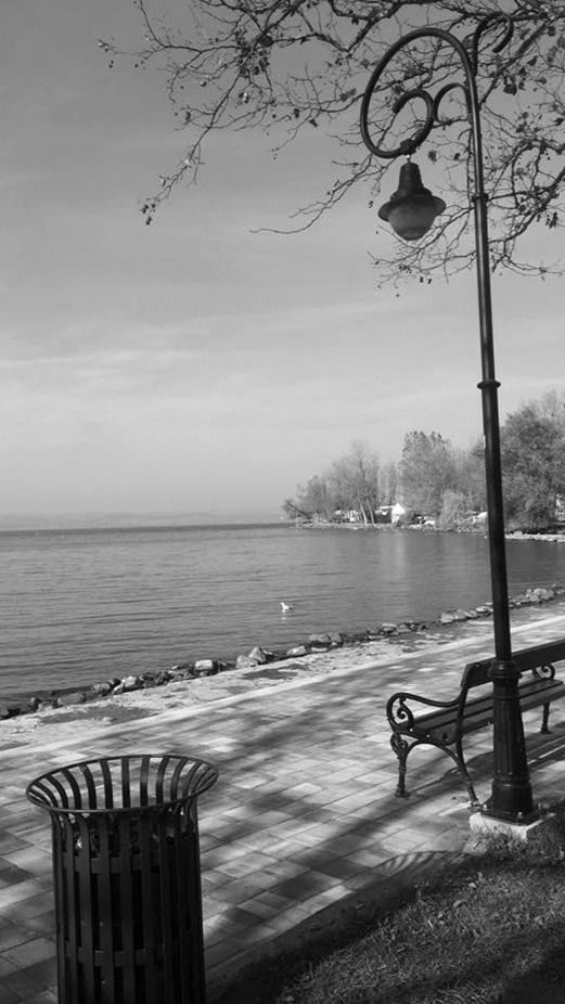 Balatonföldvár Város Önkormányzata a Balaton Fejlesztési Tanács pályázatán 11 millió forint támogatást nyert el a Kvassay