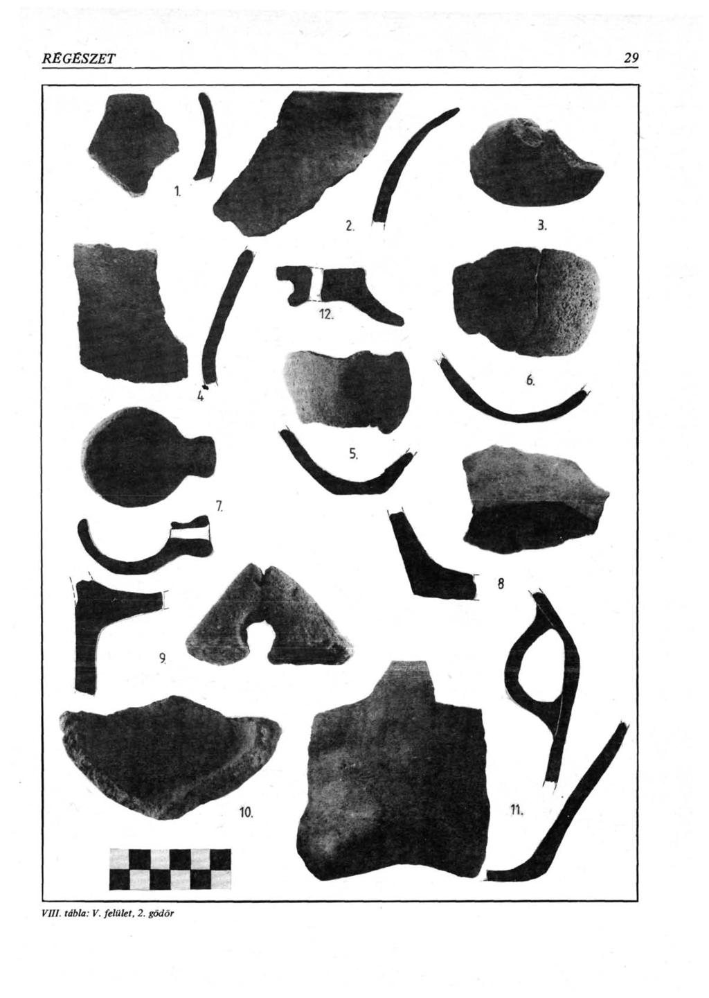 REGESZET 29 VIII.