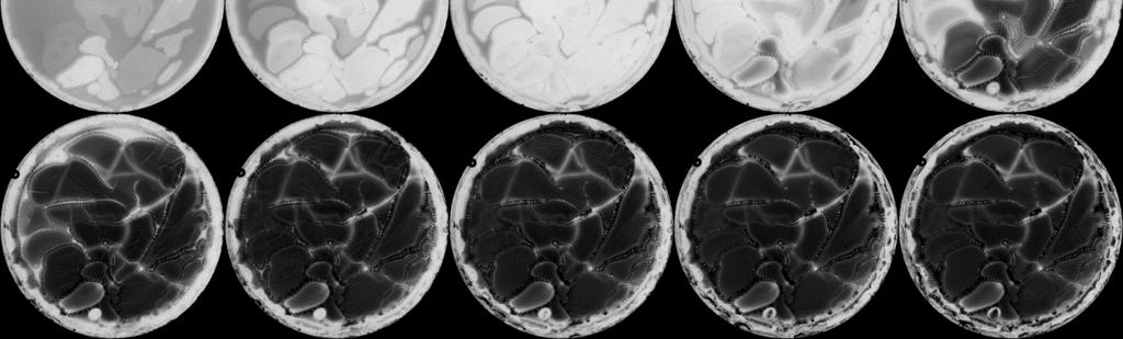 ábra: A 0,10 M alumínium-ion koncentráció mellett megfigyelt jelenségek. A képeken a sötét szín jelzi a csapadékos területeket.