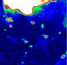 2 4 1 µm.2 4 1 µm.2-6 -4-2 2 4. 8-4.
