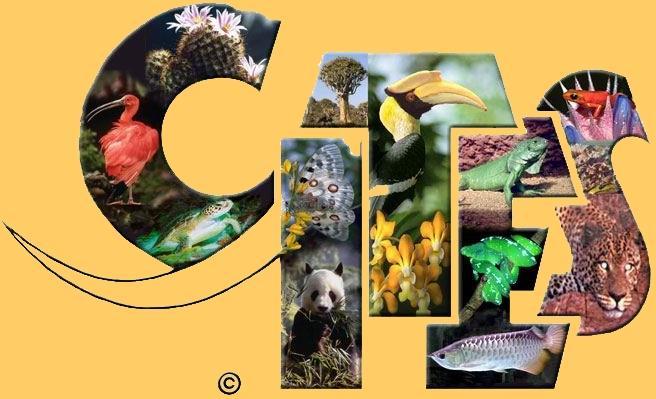 Washingtoni Egyezmény (1973) (Convention on the International Trade of Endangered Species CITES) A