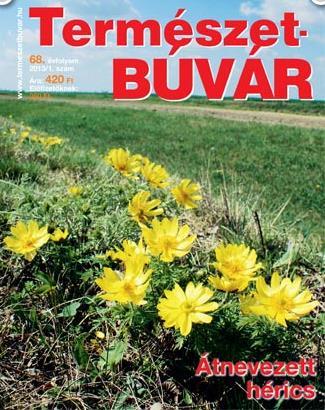 A rendszerváltás után a lap fenntartója a