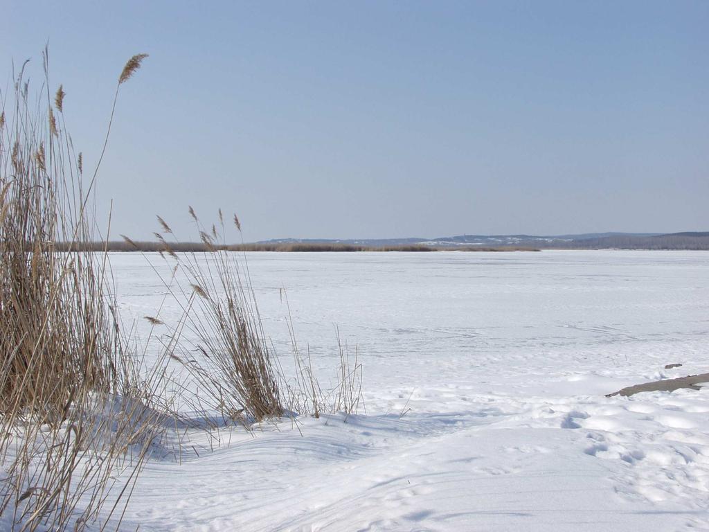 A BALATON ÉS A TÓRÉSZEK HAVI VÍZHÁZTARTÁSI JELLEMZİINEK MEGHATÁROZÁSA