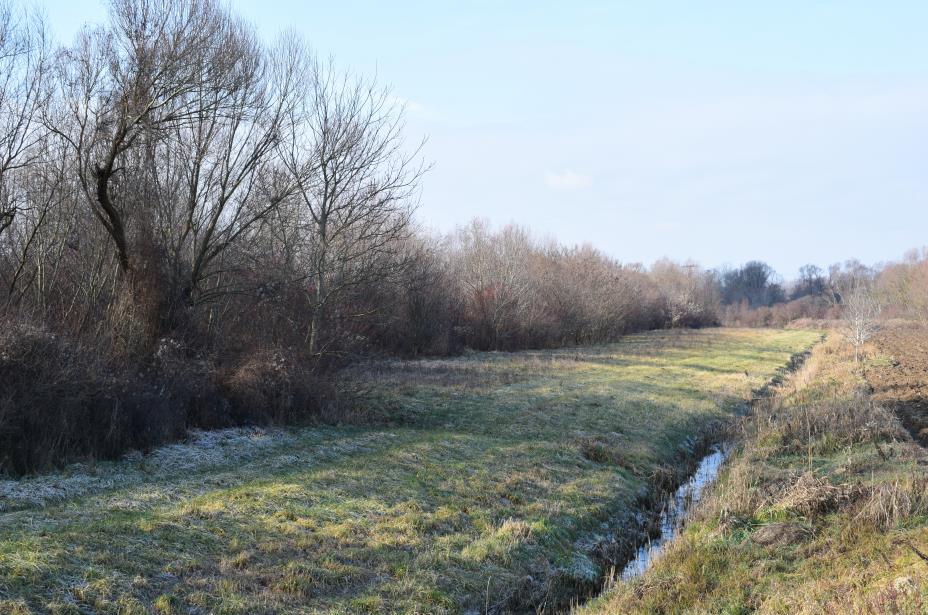 folyosónak minősülnek. A Mucsi határ felől átnyúló "Lengyel-Hőgyészi erdők" részét képező erdősáv Natura 2000 terület.