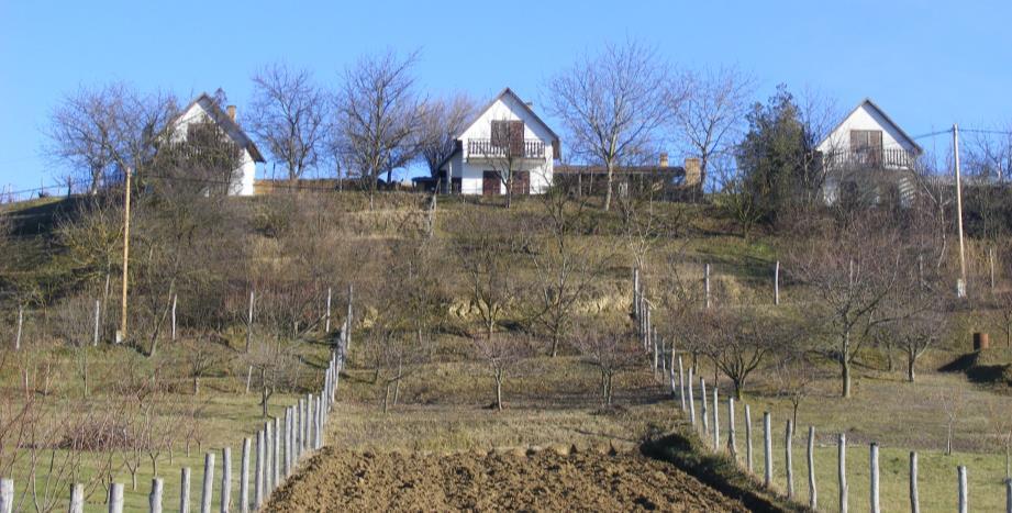 Szőlőhegy A falu szőlőhegye a belterület keleti részén, a lakóterület mögötti domboldalon található.