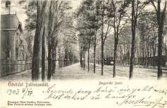 villamos és hirdető 2000
