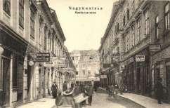 Országzászló, 1000 20838.