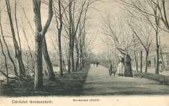 Kovászna, Covas na; Puskás