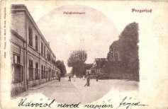 Kamniskimi planina 1400