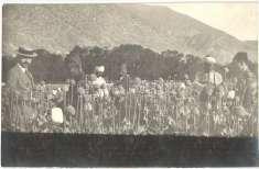 general view, mo 3200