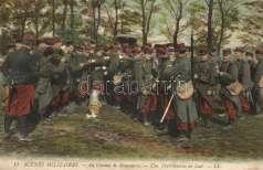 Magyar szabadsá gharc,
