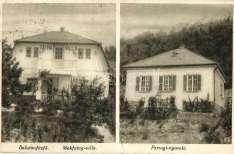 Balatonfüred, Fer enc József