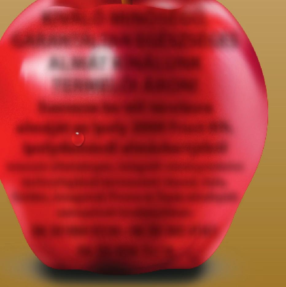 INTELLIGENS C E F R E P O R L A S Z TÁ S O S