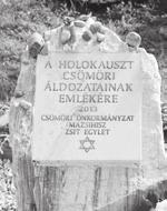A zeneiskola nyári hírei Augusztusban a zeneiskola fúvószenekaros, vonós és zongorista növendékei zenekari táborban jártak Balatonlellén.