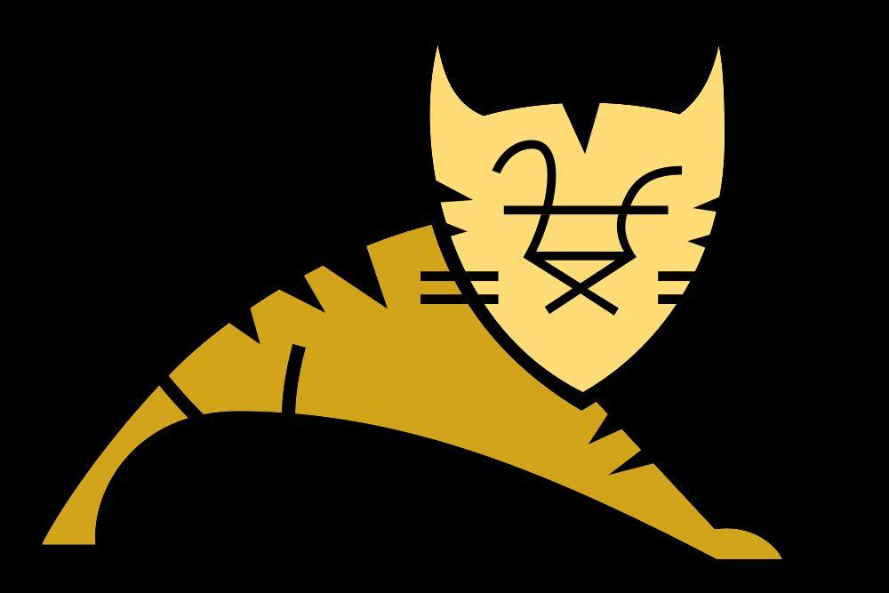 Apache Tomcat http://tomcat.apache.org/ The Apache Tomcat software is an open source implementation of the Java Servlet, JavaServer Pages, Java Expression Language and Java WebSocket technologies.