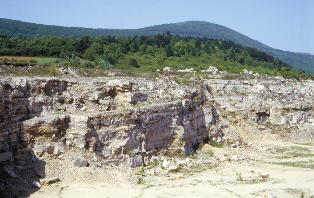 Pliocén travertínóösszletek (T9 T8) T9-es travertínóösszletet a felső-pannóniai üledékeket is elnyesve, 360 370 m-es magasságban hegylábfelszínre települt formában találunk.