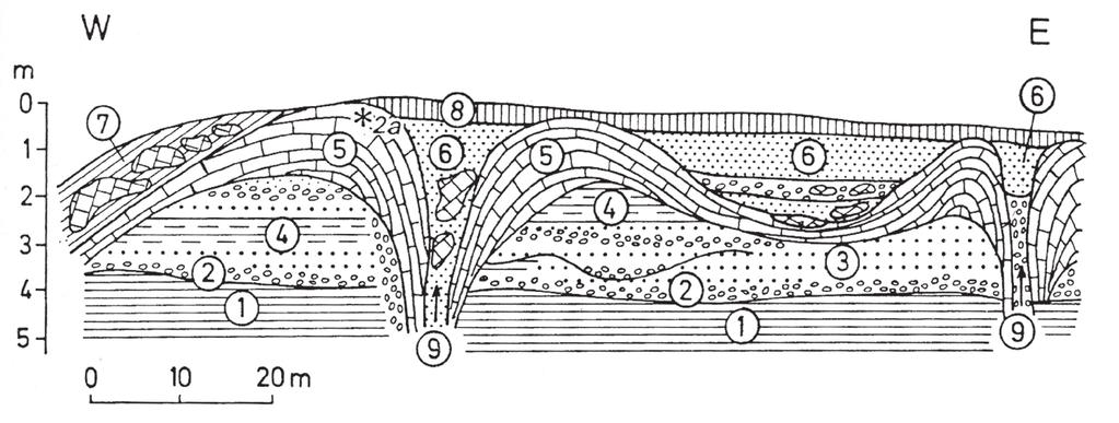 14. ábra. Tata-Tóváros Magdolnapuszta travertinó (T3a), III. sz. Duna teraszon kialakult forráskúp típusú travertínó (Scheuer Gy., Schweitzer F. 1974 alapján).