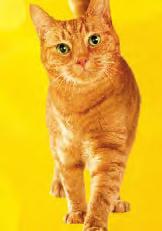 920,- 766,- -15% * MINDEN FRISKIES