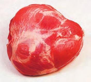 MARHA HOSSZÚ