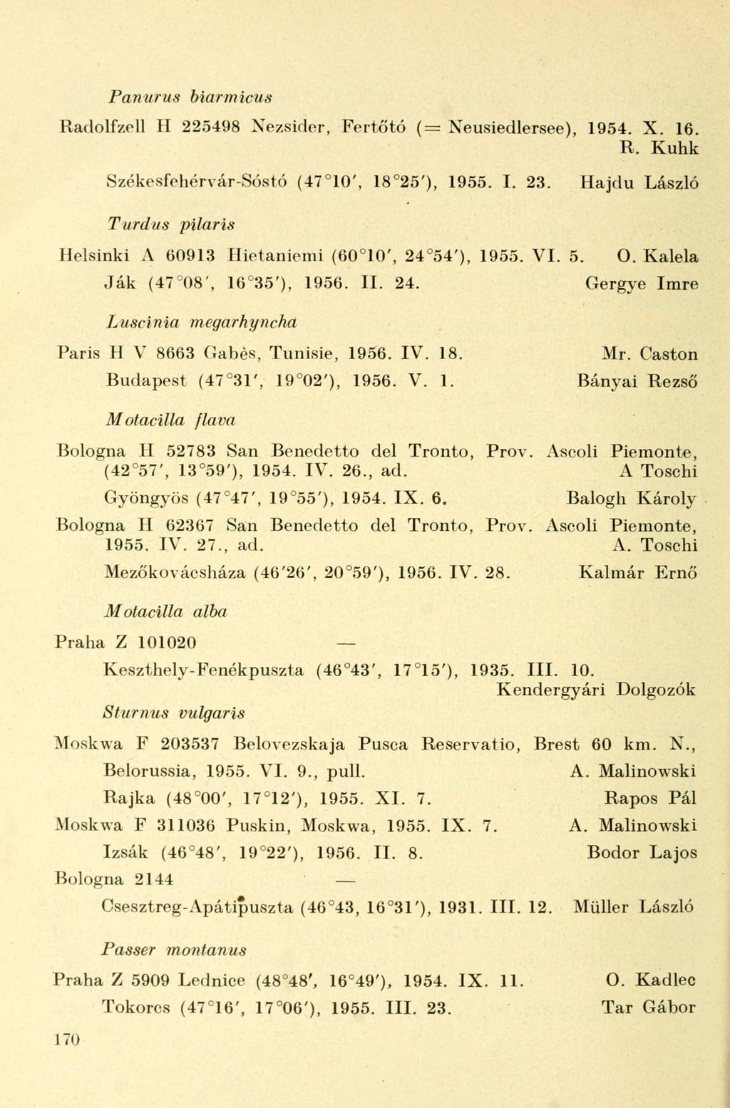Panurus biarmicus Radolfzell H 225498 Nezsider, Fertőtó (= Neusiedlersee), 1954. X. 16. R. Kuhk Székesfehérvár-Sóstó (47 10', 18 25'), 1955. I. 23.