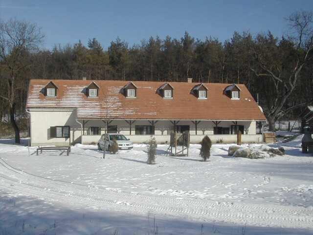 Jelenlegi védelem: egyedi helyi védelem Építés éve: (I.
