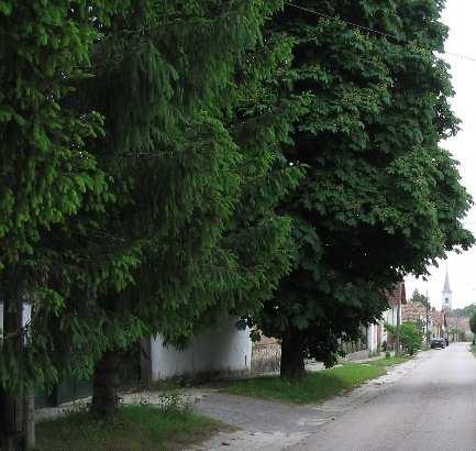 31. Két épület Tompa Mihály utca 33.