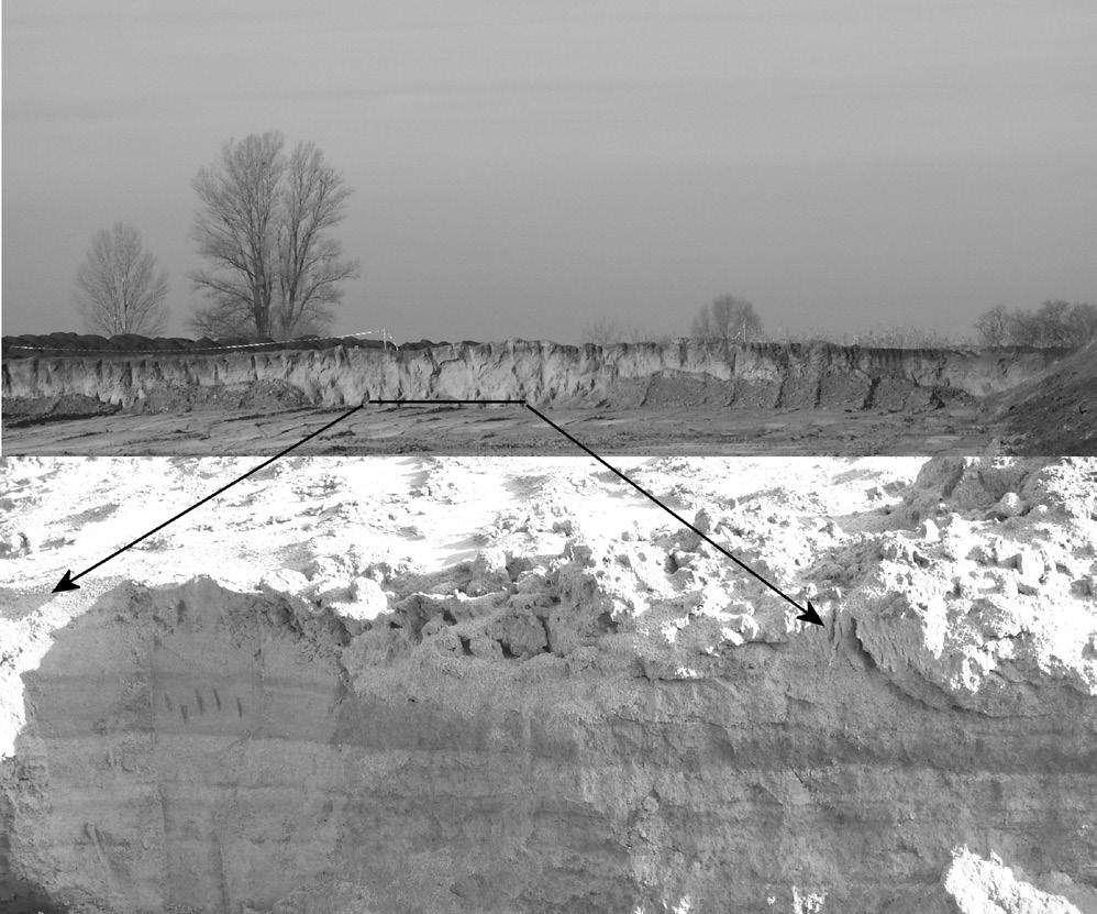 5. ábra Folyóvízi rétegsor Hajdúböszörménytől ÉK-re Figure 5 Fluvial sediment series northeast of Hajdúböszörmény A Hajdúhát felszíni formái A Hajdúhát (Hajdúság) geomorfológiai jellemzését adó