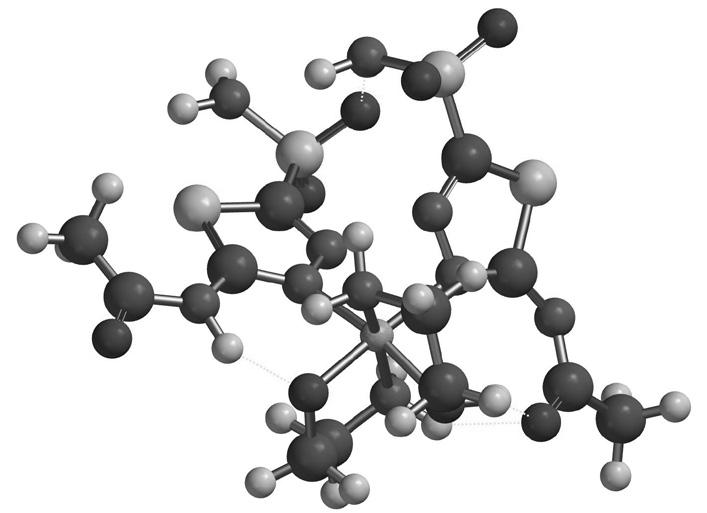 Forizs., Kun A-Zs., Jákob N. Fig. 3. Optimised structures of [Ni(Hacm) 2 (en) 2 ] and [Ni(Hacm) 2 (ae) 2 ] with P6-DH+. 3. ábra: Az [Ni(Hacm) 2 (en) 2 ] és [Ni(Hacm) 2 (ae) 2 ] komplexek P6-DH+ módszerrel optimált szerkezetei.