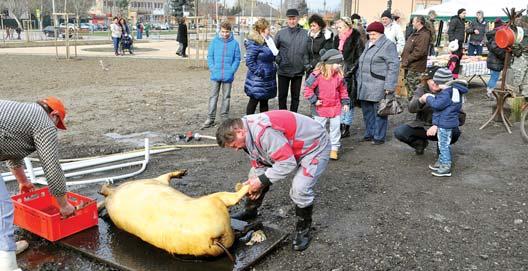 TVRDOŠOVSKÝ SPRAVODAJ MAREC 2016 WWW.TVRDOSOVCE.SK OPÄŤ SA STRETLI PRIAZNIVCI PÁLENKY neprekážalo. Podmienky súťaže ostali nezmenené.