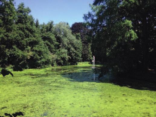 park Magyarország legrégebbi angolparkja.