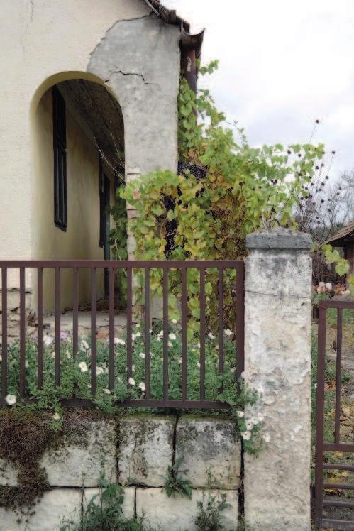 A kerítés a közterület határvonala. Magánterületen van, de a látványa közügy. Ne akarj kitűnni a kerítéssel, a hivalkodó megoldások csak rövid ideig okozhatnak örömet.