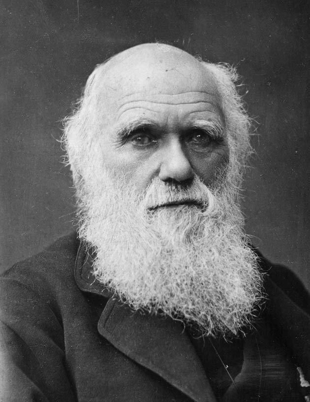 I. A szemben álló nézetek Az evolúció Az evolucionisták azt állítják, hogy minden élet fokozatosan egyetlen sejtből