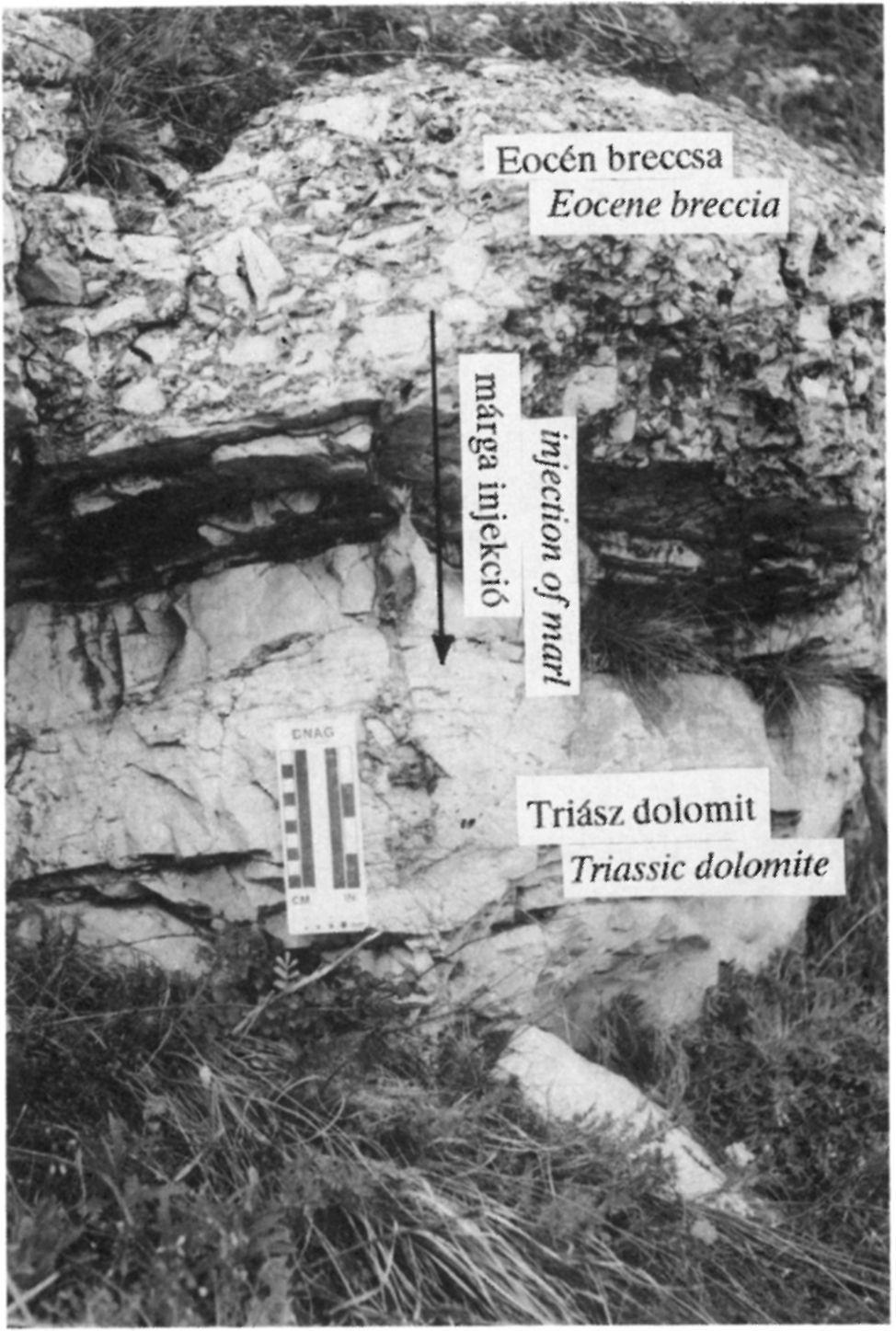 breccsa a