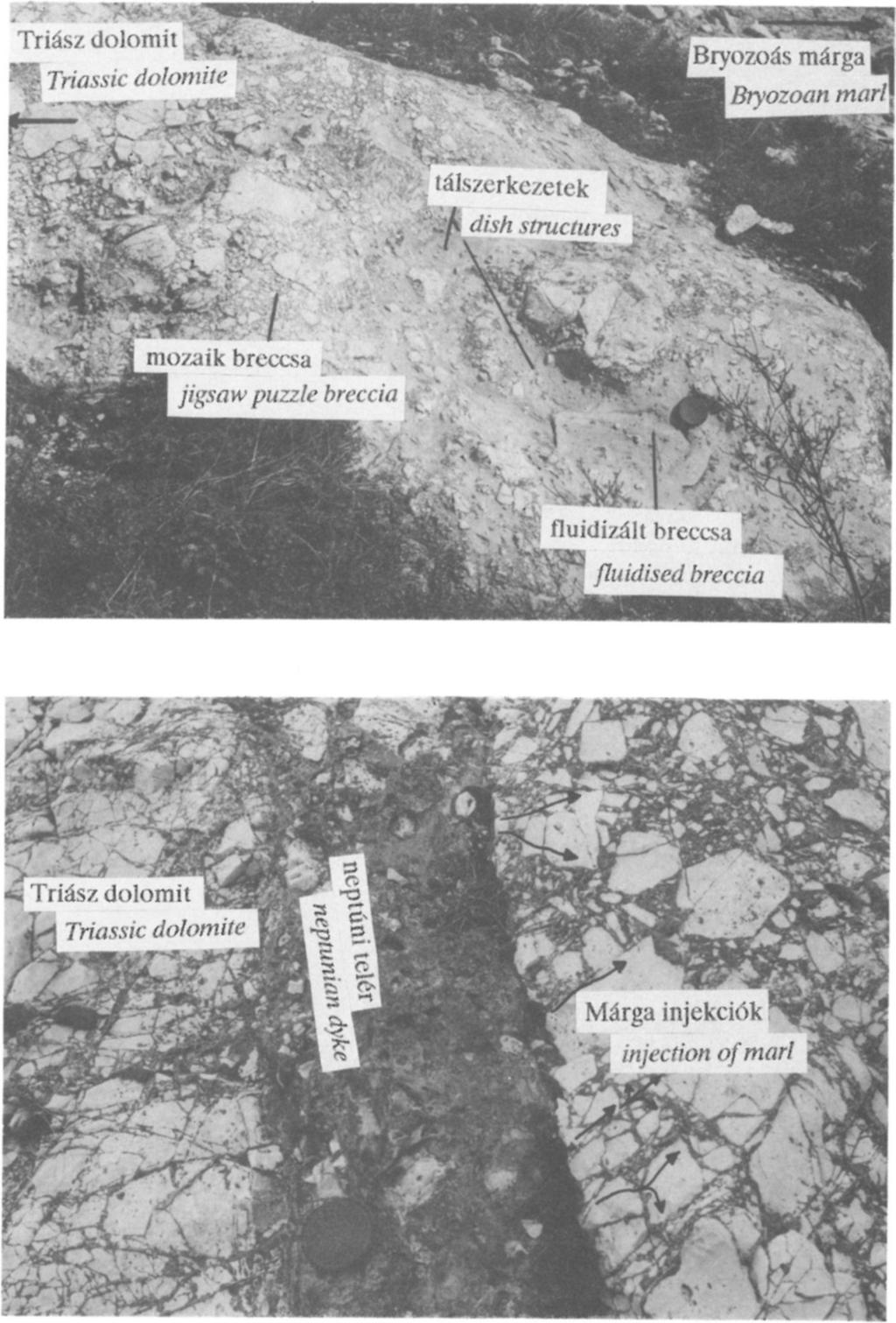 breccsa a