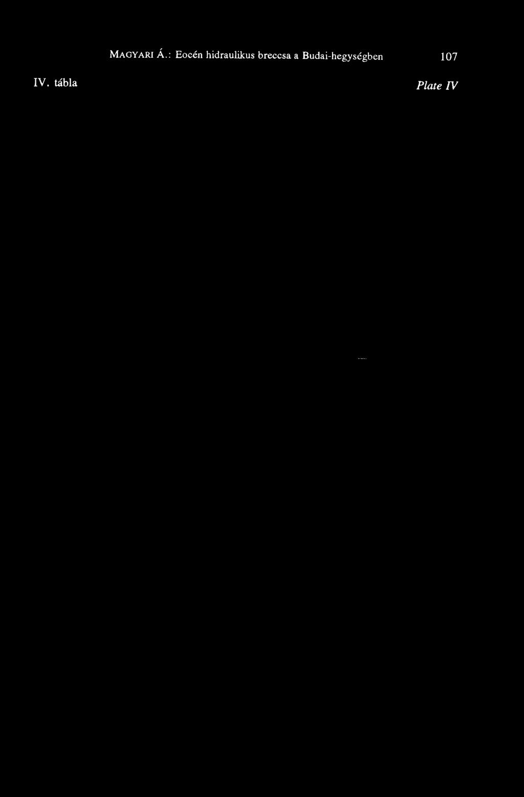 hidraulikus