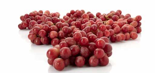 KOKTÉLPARADICSOM*** 450 g