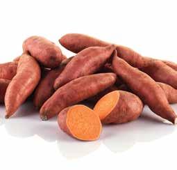 500 g (578 ) 10 249 289