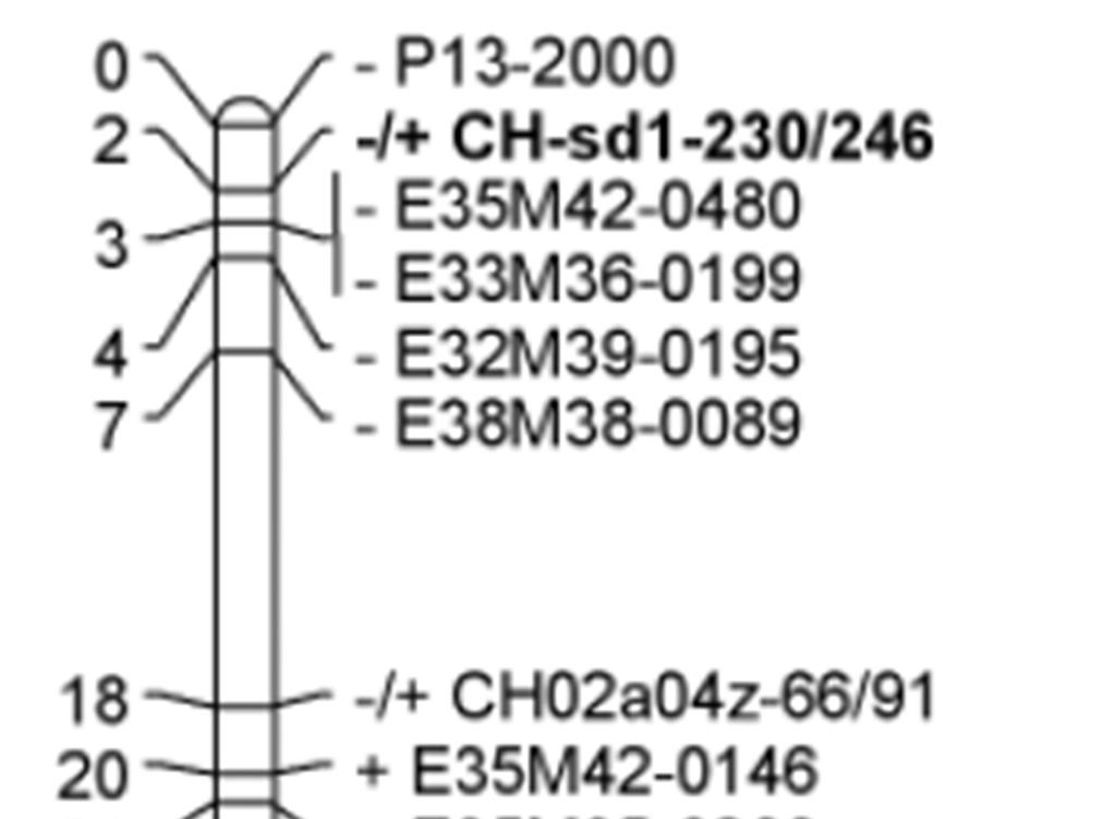 A genetikai térképezés során Peil et al. (2007) a CH03g07 és a CH03e03 SSR markereket találta alkalmasnak az FB_MR5 monitorozására.