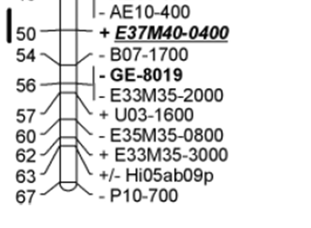 rezisztens almafajták felderítésére (Keller-Przybyłkowicz et al. 2009; Nybom et al. 2012; Tóth et al. 2013). A kutatók által alkalmazott CH03e03 marker azonban nem bizonyult kellően pontos markernek.