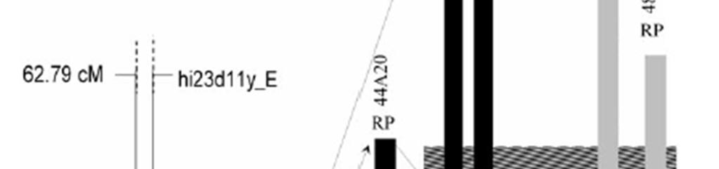 szó), Durel et al.