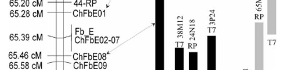(2011) által finomtérképezéssel
