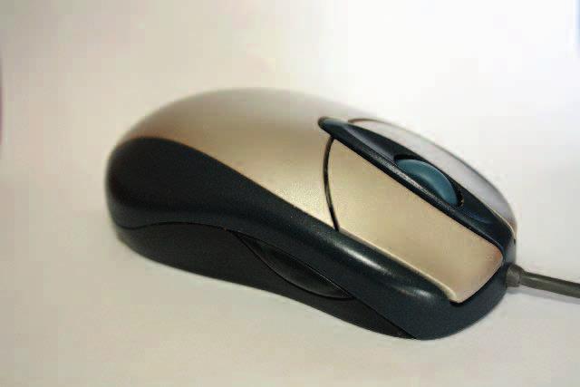 Picture 3 Task 1. What can you see in the picture? What is it used for? (photo by: Peter Zsirmik) Task 2 Consult a monolingual dictionary and write definitions.