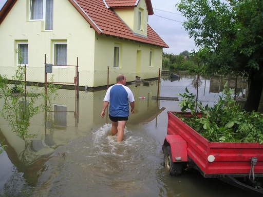területeken a vizes élőhelyek életfeltételeit. A belvízmentesítés kedvezőtlenül hat a befogadó felszíni vizek minőségére és a felszín alatti vizek mennyiségi állapotára is. 3.1.