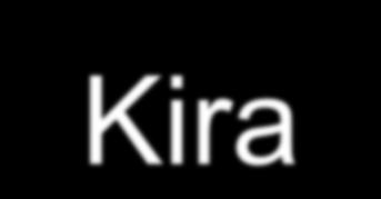 A kumulatív traumás zavar (CTD, Kira 2008) 1. pozitív tünetek ( vis., ac.