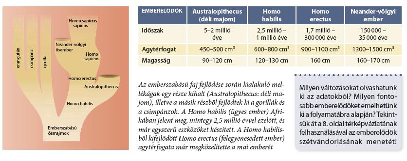Az adott törzsanyag feldolgozását a lecke forráscsoportjai is elősegítik.