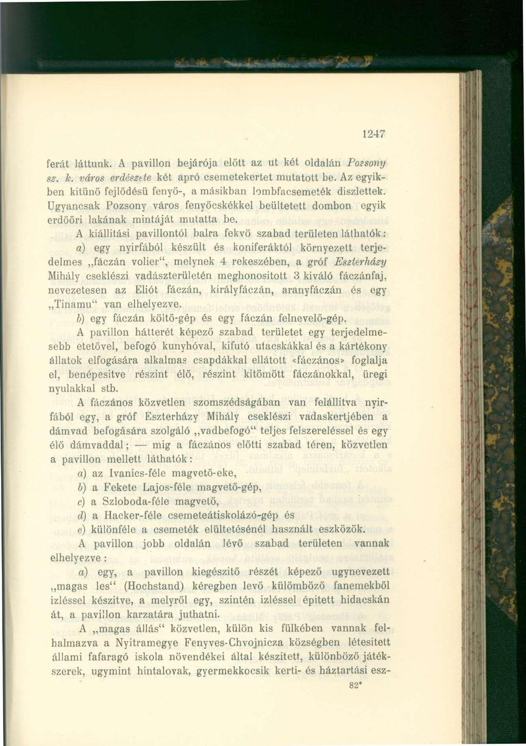 1247 ferát láttunk. A pavillon bejárója előtt az ut két oldalán Pozsony sz. Jc. város erdészete két apró csemetekertet mutatott be.