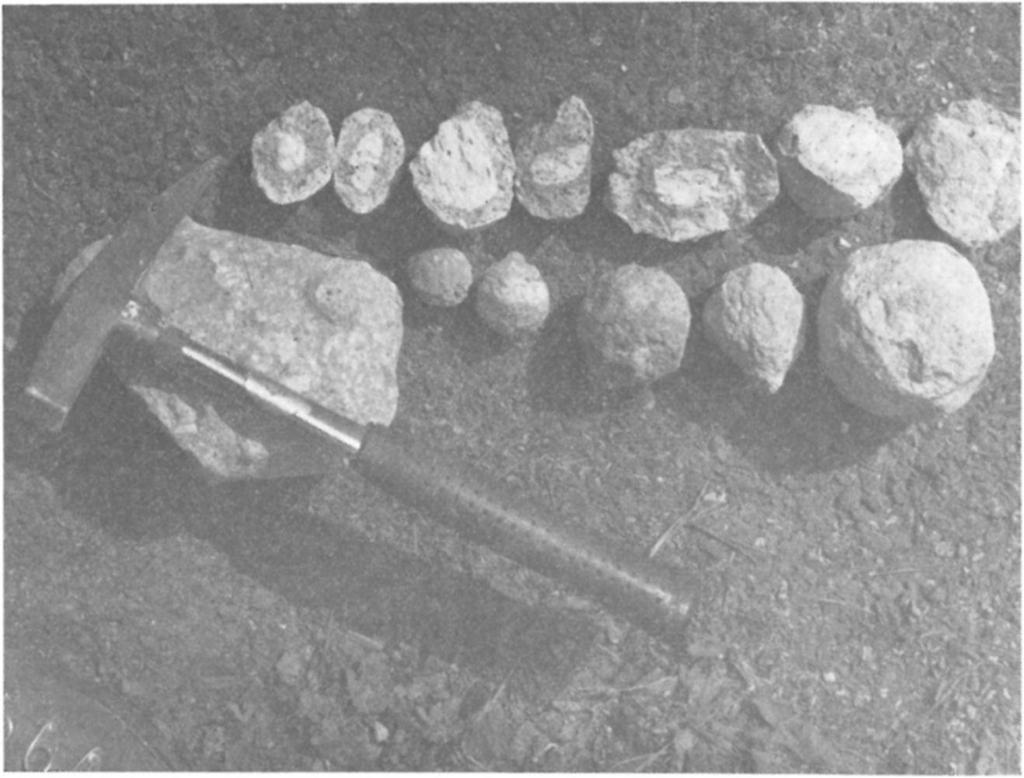 Pazsag-völgy. (2) Dácittufa. Hosszú-völgy. Elemző : BOBÁLY János és SÜTfl Zoltán (Komló, OPKFV Anyagvizsgáló Laboratórium).